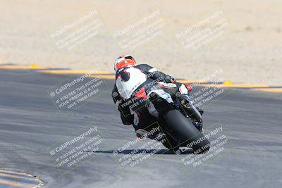 media/Mar-10-2024-SoCal Trackdays (Sun) [[6228d7c590]]/9-Turn 8 Backside (1150am)/